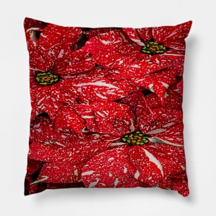 Red and White Flower Petals Pillow