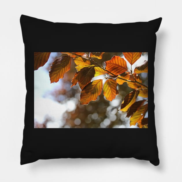 Copper Beech Pillow by gracethescene