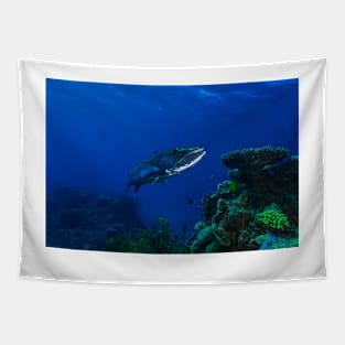 Barracuda on the Great Barrier Reef Tapestry