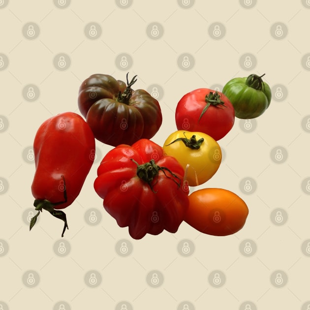 Tomatoes by AHelene