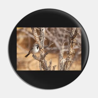 Black-Throated Sparrow Pin