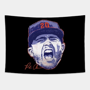 Pete Alonso New York M Scream Tapestry