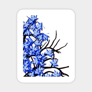 Maple Leaves Blue Magnet