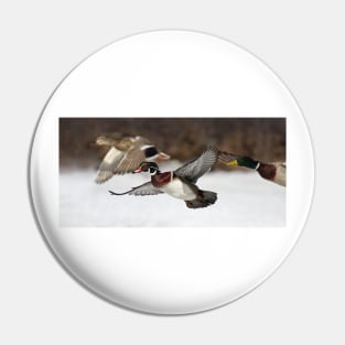 Flying the friendly skies - Wood Duck Pin