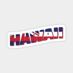 Hawaii vintage style retro souvenir Magnet