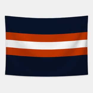 Chicago Color Stripes Tapestry