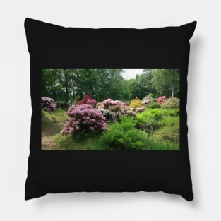 Rhododendron Park Pillow