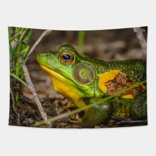 Big Ol' Green Frog Photograph Tapestry