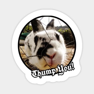 Thump You! Bunny Rabbit Magnet