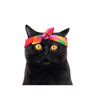 Black cat with bandana T-Shirt