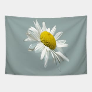 Close Up Common White Daisy Cut Out Tapestry