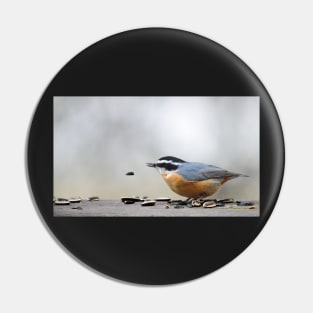 Nuthatch Pin