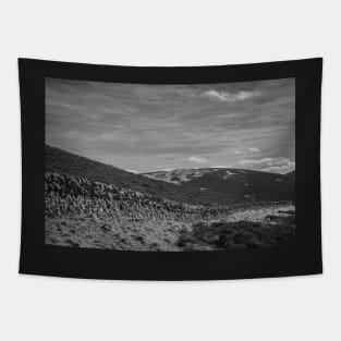 Divided Hills Tapestry