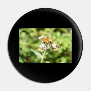 Bee And Moth On Water Hemp Flower Pin