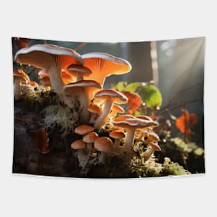 Mushroom Forest Nature Serene Tranquil Tapestry