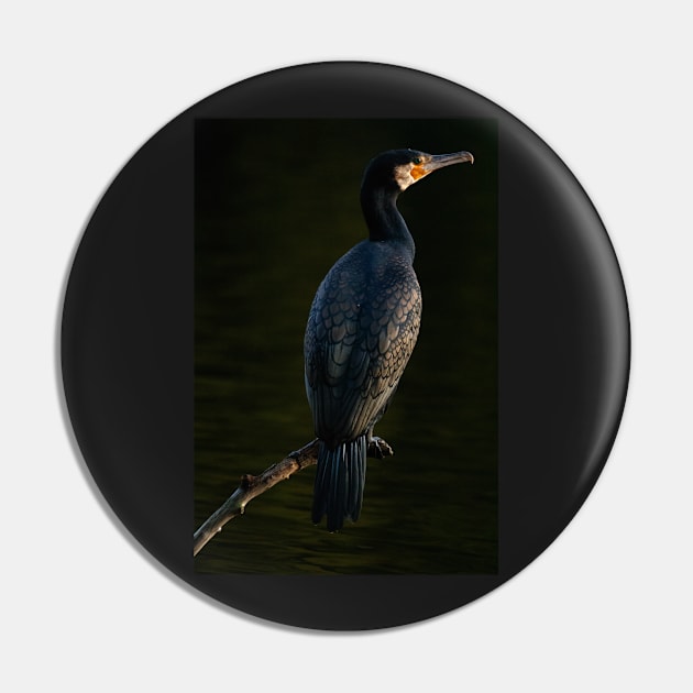 Cormorant Pin by Z Snapper