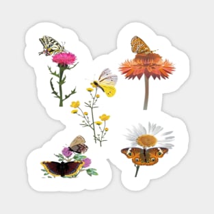 Quartet Butterfly Floral Magnet