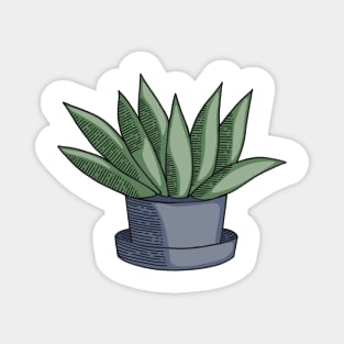 Green Aloe Succulent Cactus in Blue Pot Hand Drawn Line Art Magnet