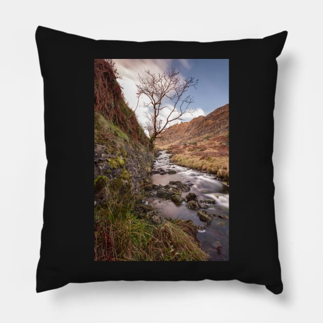 Argyll and Bute - Scotland Pillow by cagiva85