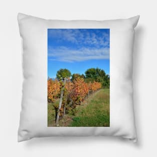 Autumnal Grape Vines Pillow