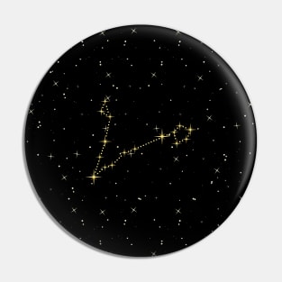 Pisces Star Constellation Pin