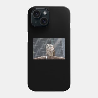 Owl in Sunlight Phone Case