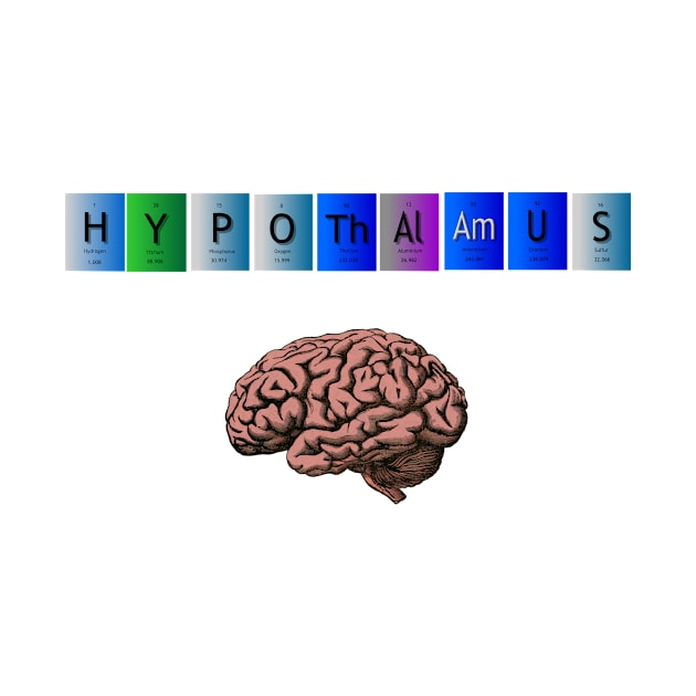 Hypothalamus brain period table by MiljanaVuckovic