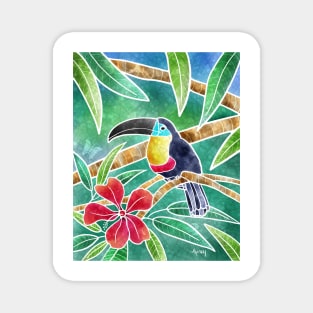 Toucan Magnet