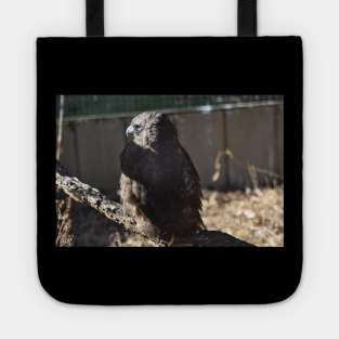 Hawk Tote