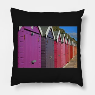 Sheds Of Any Colour But Grey Pillow