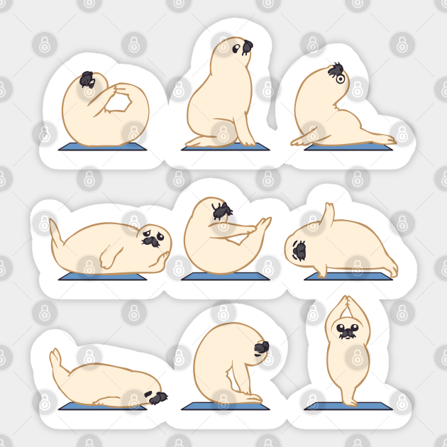 Baby Seal Yoga - Baby Seal - Sticker | TeePublic Baby Seal Yoga - Baby Seal - Sticker | TeePublic