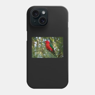 Male King Parrot, Queensland Australia Phone Case