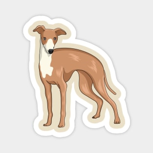 Greyhound dog cartoon illustration Magnet