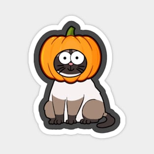 Kitty Pumpkin Head Magnet