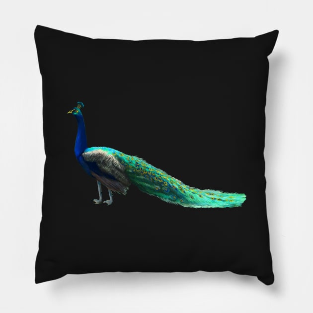 Peacock Pillow by PeggyNovak