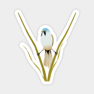 Bearded reedling digital illustration Magnet