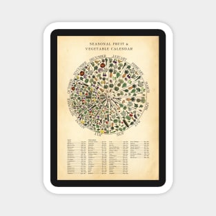 Seasonal Fruit & Veg Chart Monthly Calendar Magnet