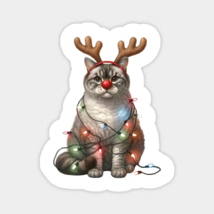 Christmas Red Nose Manx Cat Magnet