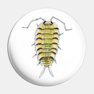 Porcellio bolivari Isopod Pin