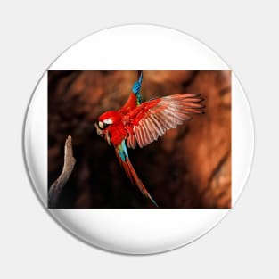 Red-and-green Macaw Pin