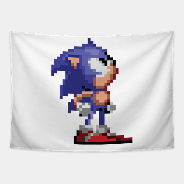 Sonic Pixel Tapestry by MoathZone