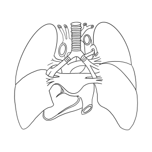 Anatomy heart lung design T-Shirt