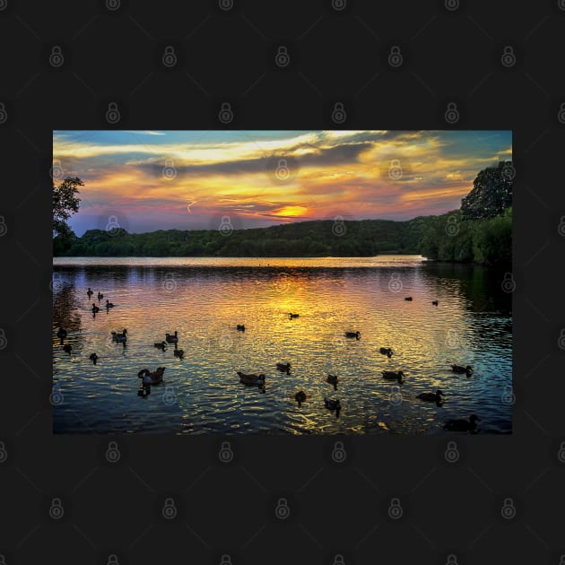 Sunset Over Black Swan Lake by IanWL