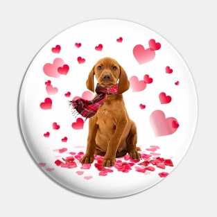 Vizsla Hearts Love Happy Valentine's Day Pin