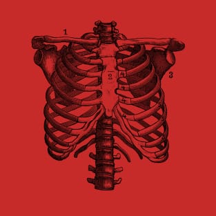 Shoulder and Rib Cage Diagram - Vintage Anatomy T-Shirt