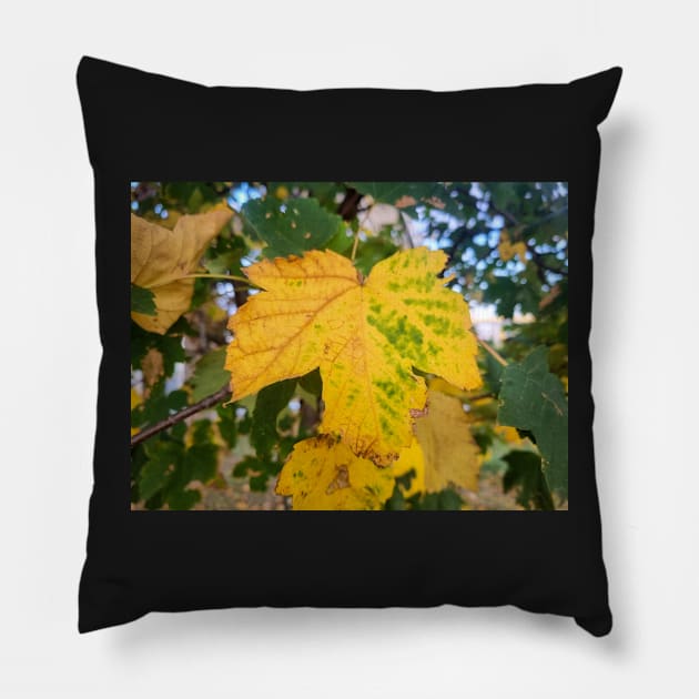 Autumn Yellow Leaf Pillow by Anastasia-03