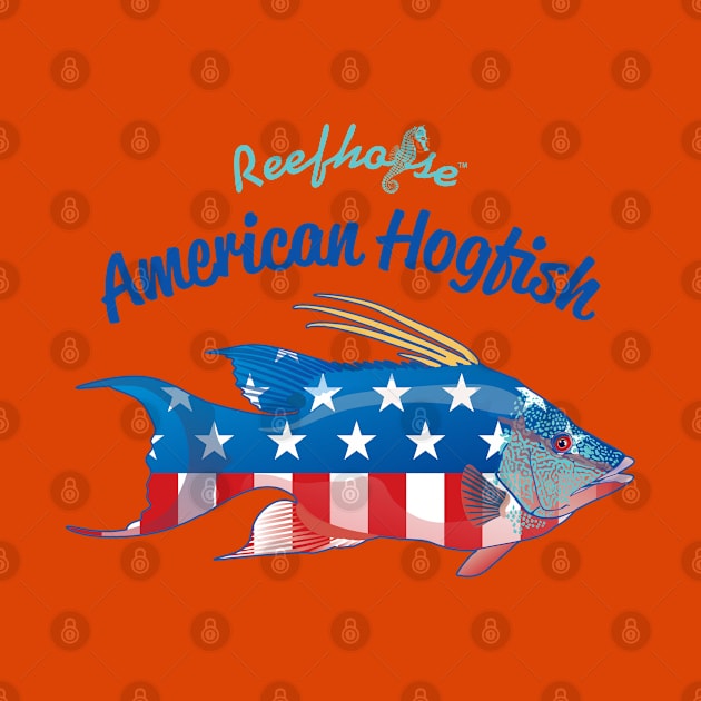 American Hogfish by Reefhorse