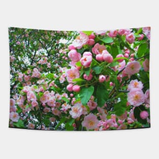 Spring Blossoms-Art Prints-Mugs,Cases,Duvets,T Shirts,Stickers,etc Tapestry