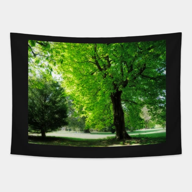 Boy sitting under the tree Tapestry by fantastic-designs