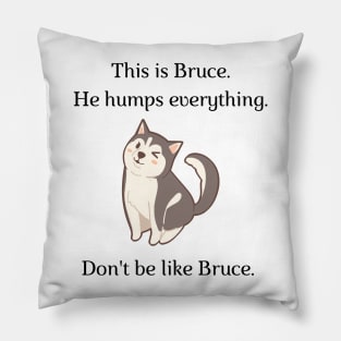 Don't be like Bruce! Pillow